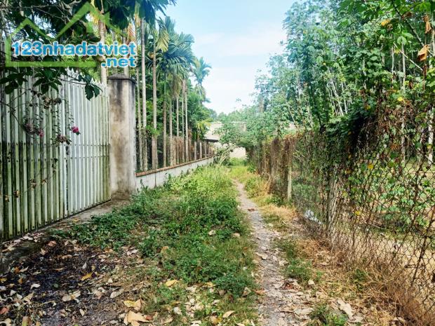 Bán nhà vườn 1/ đường 437 - 1653m2 - 30x59 - 300m2 thổ cư - xã Phú Hòa Đông - Củ Chi - 2