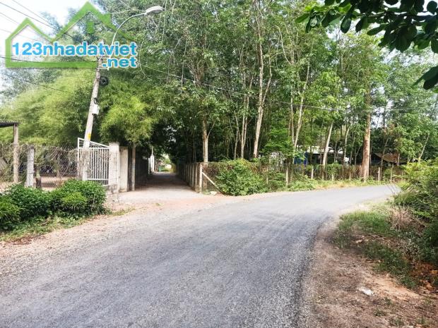 Bán nhà vườn 1/ đường 437 - 1653m2 - 30x59 - 300m2 thổ cư - xã Phú Hòa Đông - Củ Chi - 1