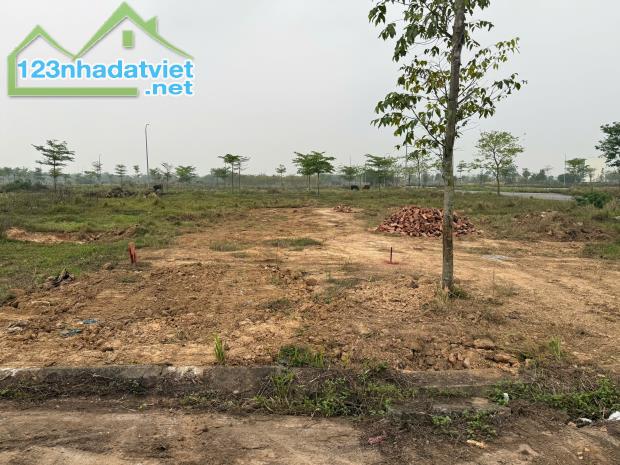 Bán 100m lk mặt đường 24m KĐT Cienco 5 Mê Linh,mặt tiền: 5m, kd sầm uất. - 4