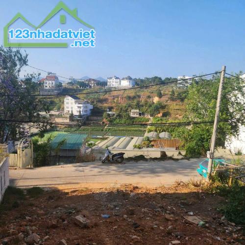 BÁN LÔ ĐẤT ĐẸP VUÔNG VỨT ĐƯỜNG NGUYỄN HỮU CẢNH PHƯỜNG 8 TP ĐÀ LẠT 🍓 - 1