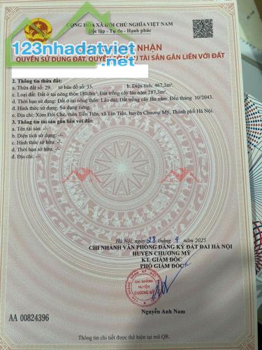 CHÍNH CHỦ BÁN LÔ ĐẤT 467,3M TẠI TÂN TIẾN-CHƯƠNG MỸ-HÀ NỘI - 4