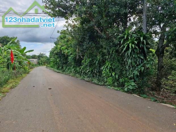 Đất 1.6ha mặt tiền nhựa gần KCN Cù Bị – có sẵn 300m² thổ cư, pháp lý rõ ràng, giá tốt