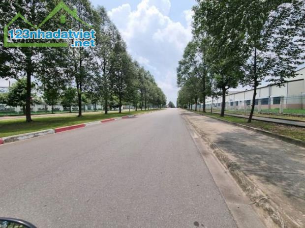 CHỦ GỬI BÁN NHANH LÔ ĐẤT 10x23M –KCN TÂY BẮC  , TÂN AN HỘI CỦ CHI. - 1