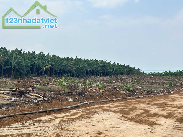 Chính chủ cần bán lô đất vườn giá rẻ để lấy vốn làm ăn