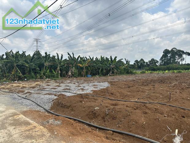 Chính chủ cần bán lô đất vườn giá rẻ để lấy vốn làm ăn - 2