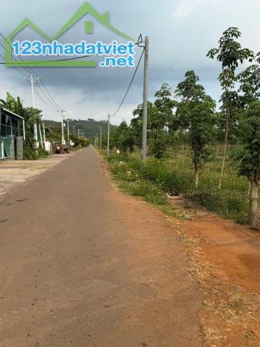 Chính chủ cần bán lô đất vườn giá rẻ để lấy vốn làm ăn - 4