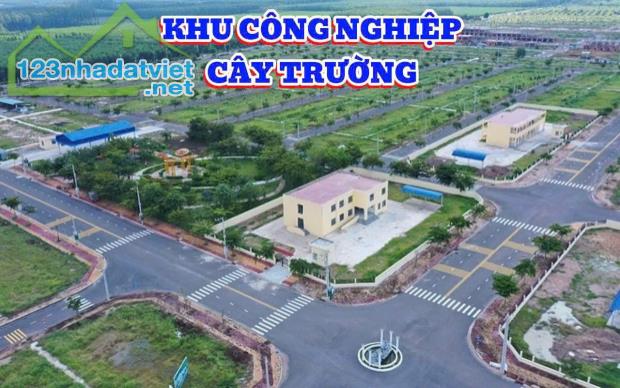 CHỈ 9XX SỞ HỮ NGAY LÔ ĐẤT ĐẸP TẠI BÀU BÀNG - 3