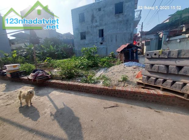 Đất Mai Lâm 95.2m2, mt9m, 7.45 tỷ, 3 thoáng, Đông Anh - 1
