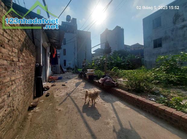 Đất Mai Lâm 95.2m2, mt9m, 7.45 tỷ, 3 thoáng, Đông Anh - 2