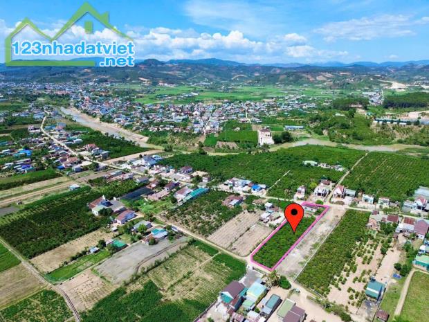 CHỈ TỪ 439 TRIỆU SỞ HỮU NGAY LÔ ĐẤ THỔ CƯ, GẦN ĐÀ LẠT - LÂM ĐỒNG - 2
