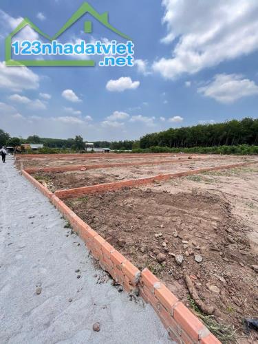 Bán cặp đất 10 x 50 An Linh Phú Giáo Binh Dương ngay Cụm KCN An Linh chỉ 580 triệu - 2