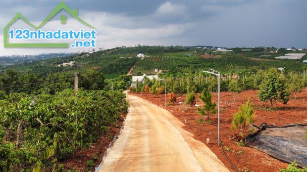 Cần bán Đất Xã Tân Hà Lâm Hà Diện tích 302m² Giá 495 Triệu Thổ Cư 177m²