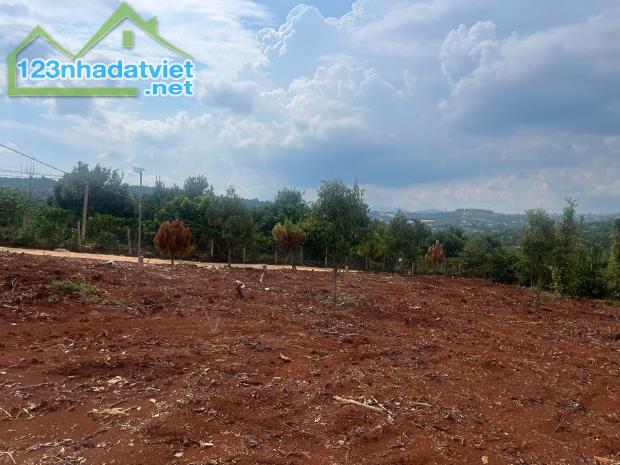 Cần bán Đất Xã Tân Hà Lâm Hà Diện tích 302m² Giá 495 Triệu Thổ Cư 177m² - 1
