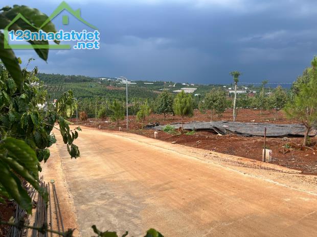 Cần bán Đất Xã Tân Hà Lâm Hà Diện tích 302m² Giá 495 Triệu Thổ Cư 177m² - 2