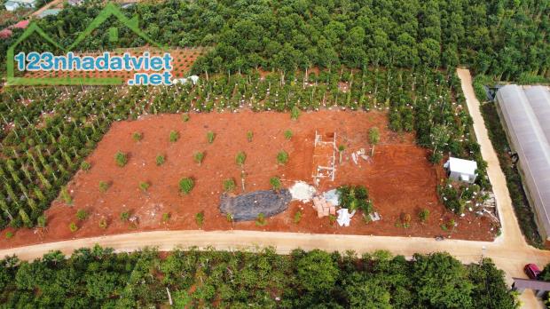 Cần bán Đất Xã Tân Hà Lâm Hà Diện tích 302m² Giá 495 Triệu Thổ Cư 177m² - 3