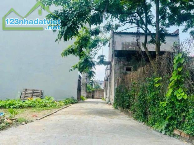 CHÍNH CHỦ BÁN ĐẤT THỔ CƯ SẴN SỔ TẠI XUÂN NỘN-ĐÔNG ANH - 3