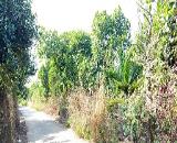 Chính chủ cần bán đất xã Xuân Thiện, Huyện Thống Nhất, Tỉnh Đồng Nai.