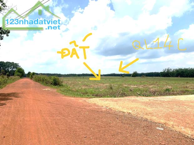BÁN ĐẤT MẶT TIỀN QL14C+DT246 560M2 ĐẤT THỔ CƯ SỔ RIÊNG NGAY CHỢ, TRUNG TÂM THỊ XÃ SẦM UẤT - 3