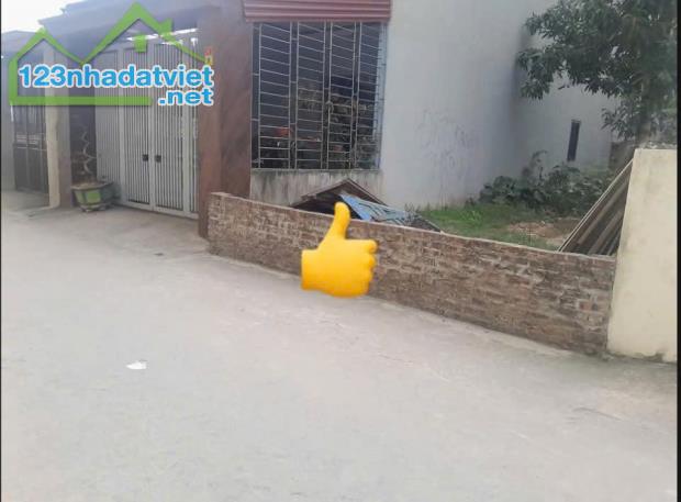 CẦN TIỀN BÁN GẤP LÔ ĐẤT 100M2 TẠI THÔN XUÂN BÁCH, XÃ QUANG TIẾN, SÓC SƠN, HÀ NỘI - 1