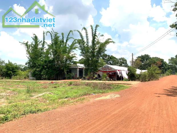 CHÍNH CHỦ THANH LÝ 2 SỔ ĐẤT THỔ CƯ (10X56=560M2) MẶT TIỀN QL14C VÀO KCN HIỆN HỮU DÂN ĐÔNG - 1