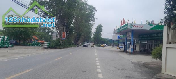 Bán-Đất-Xã Phủ Lỗ(Sóc-Sơn)-Đường Ô Tô Tránh 55M Full Thổ Cư -2,95Tỷ - 1