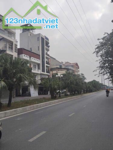 Bán đất thương mại dịch vụ mặt đường đôi Thanh Bình, TP HD, 905m2, lô góc, KD sầm uất