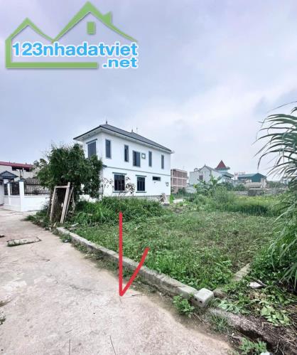 Bán đất Xâm Thị – Hồng Vân – Thường Tín – 61m² – Ô tô đỗ cửa – hơn 2 tỷ - 1
