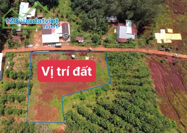 BÁN 2 SỔ ĐẤT NGÓ QUA SÂN BAY GẦN KHU DU LỊCH TRUNG TÂM DÂN ĐÔNG 239 TRIỆU