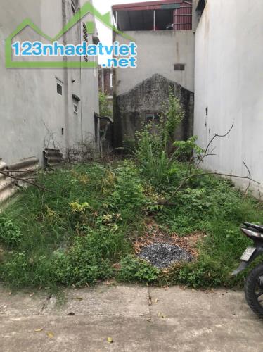 🔥 BÁN ĐẤT ĐẸP – CƠ HỘI ĐẦU TƯ VÀ AN CƯ TẠI ĐẠI ÁNG, THANH TRÌ 🔥 - 1
