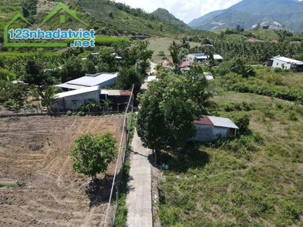 Bán đất Diên Tân gần Hương Lộ 62 - rộng rãi thích hợp xây nhà vườn - 2