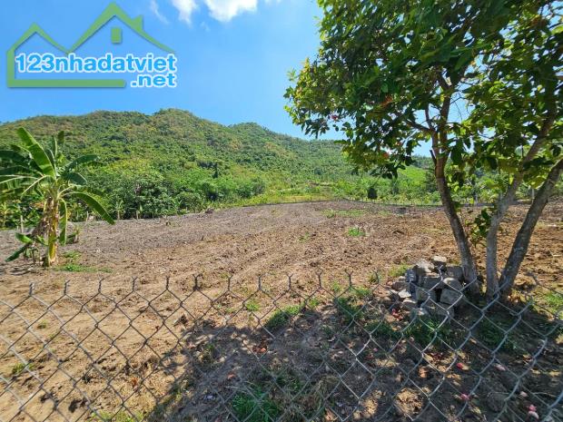 Bán đất Diên Tân gần Hương Lộ 62 - rộng rãi thích hợp xây nhà vườn - 4