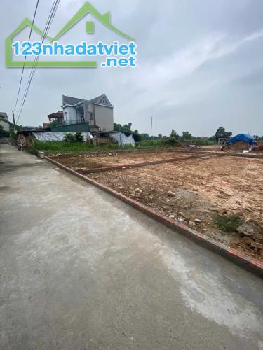 Đất lô góc, ô tô, thông, 100m2, mt6.5m. Bắc Thượng Sóc Sơn. Giá đầu tư. - 1