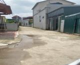 Bán đất tại Quất Động, Thường Tín.Gần chợ, khu công nghiệp Quất Động tiện ích đầy đủ.