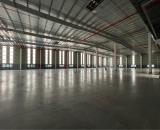 Nhà xưởng mới xây dựng 12000m2 cần cho thuê trong KCN Thuận Thành, pccc tiêu chuẩn, miễn g