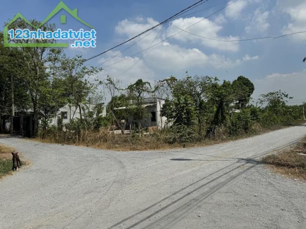 CHÍNH CHỦ CẦN BÁN ĐẤT SHR SANG TÊN NGAY FULL THỔ CƯ GIÁ NGON - 1