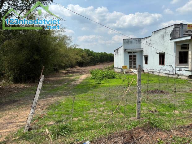 Đồng Nai - Trảng Bom, Chính chủ Bán 3 Lô Đất Thổ Cư - mặt tiền đường lớn 45m liền kề,