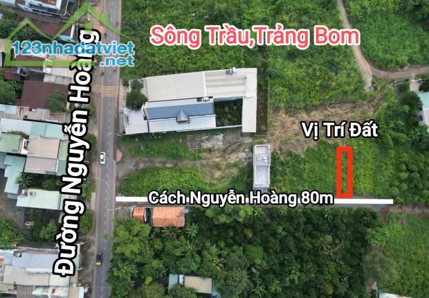 Đất Đẹp Giá Tốt – 1 Sẹc Nguyễn Hoàng, Gần Trung Tâm – Sổ Riêng, Xây Tự Do – 850 Triệu! - 2