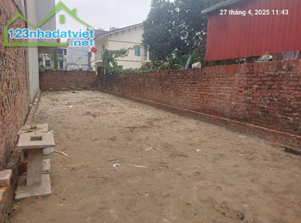 Đất Nam Hồng, 77m2, Mt4.5m, 4.5 tỷ, Đông Anh, ô tô, 3 thoáng. - 3