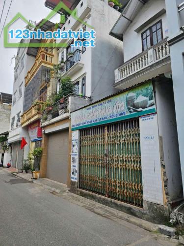 Bán đất Kim Quan Việt Hưng hướng đông nam ngõ oto gần phố rộng 99m mặt tiền: 4.5m 12 tỷ - 4