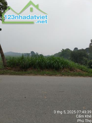 Chính chủ cần bán Nhanh Lô Đất Tại Khu Thượng Thọ - Xã Tuy Lộc – Cẩm Khê – Phú Thọ - 2