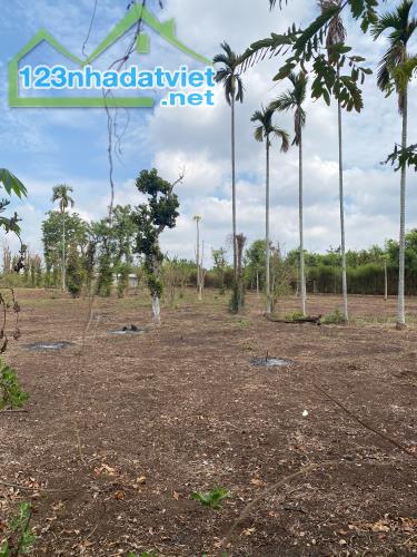💥  Gần 1 Sào đất Mặt tiền bê tông Thôn Tân Hưng - Ea Kao - BMT. 1,2 Tỷ