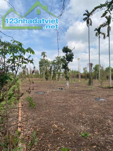 💥  Gần 1 Sào đất Mặt tiền bê tông Thôn Tân Hưng - Ea Kao - BMT. 1,2 Tỷ - 1