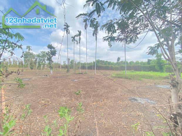 💥  Gần 1 Sào đất Mặt tiền bê tông Thôn Tân Hưng - Ea Kao - BMT. 1,2 Tỷ - 2