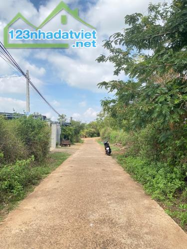 💥  Gần 1 Sào đất Mặt tiền bê tông Thôn Tân Hưng - Ea Kao - BMT. 1,2 Tỷ - 3