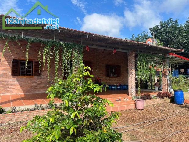 CẦN BÁN GẤP ĐẤT MẶT TIỀN ĐƯỜNG – PHÚ GIÁO, BÌNH DƯƠNG HƠN 2000M2 CÓ THỔ CƯ GIÁ 450TR - 2