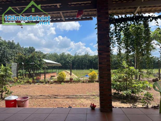 CẦN BÁN GẤP ĐẤT MẶT TIỀN ĐƯỜNG – PHÚ GIÁO, BÌNH DƯƠNG HƠN 2000M2 CÓ THỔ CƯ GIÁ 450TR - 1