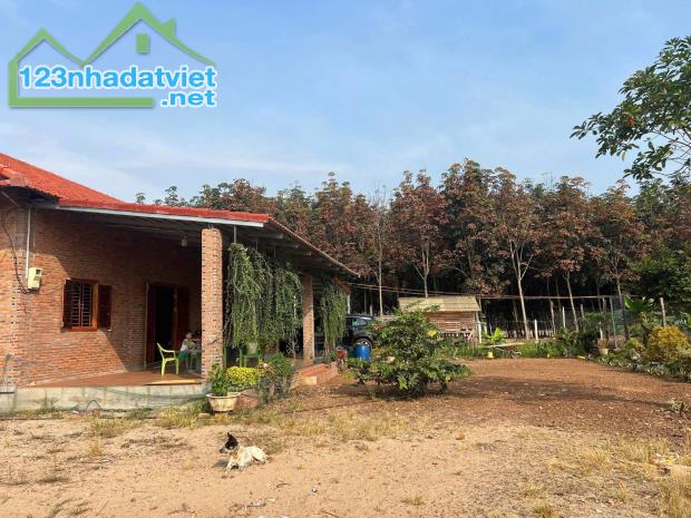 CẦN BÁN GẤP ĐẤT MẶT TIỀN ĐƯỜNG – PHÚ GIÁO, BÌNH DƯƠNG HƠN 2000M2 CÓ THỔ CƯ GIÁ 450TR