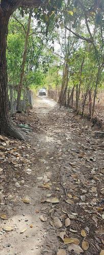 CHÍNH CHỦ CẦN TIỀN BÁN GẤP 1,5HA ĐẤT LONG SƠN GIÁ 1,8TR/M2