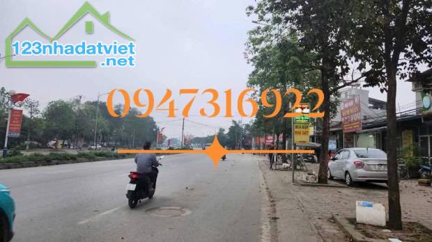 Lô đất cực Vip cực tiềm năng, kinh doanh đỉnh tại Đại Mạch, Đông Anh - 2