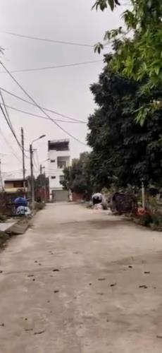 BÁN ĐẤT PHÂN LÔ  : QUẤT LÂM - QUẤT ĐỘNG - THƯỜNG TÍN - HÀ NỘI , 80M - MT=HẬU 5,6M